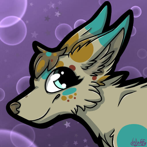 Elani(WuffyRawr) Elani(WuffyRawr)